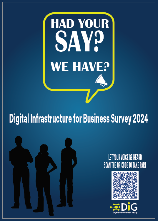 Business Survey 2024 Digital Infrastructure Group